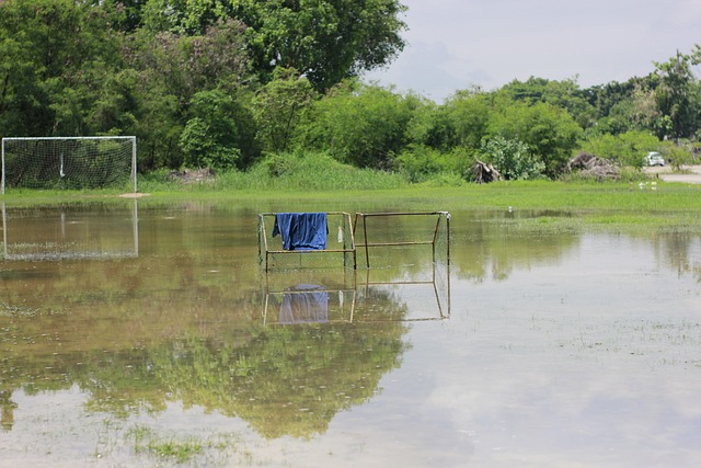 定出线线索 定出线线索