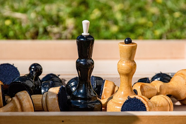 黎的欧冠征 黎的欧冠征