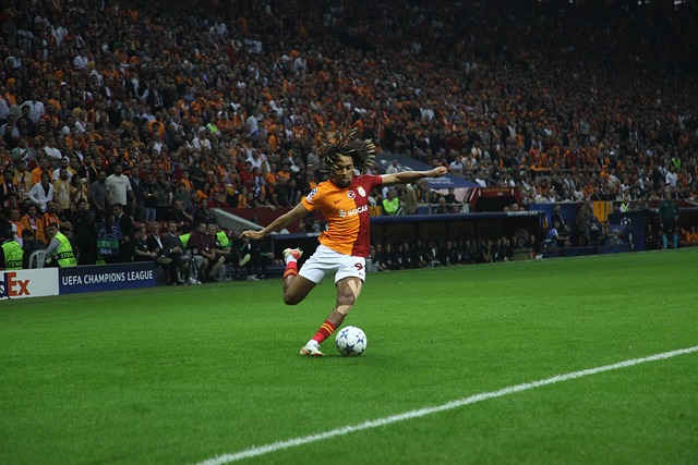 成功经验 成功经验