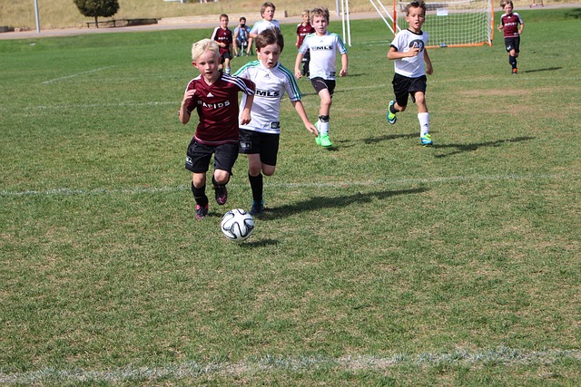 也充分展示 也充分展示