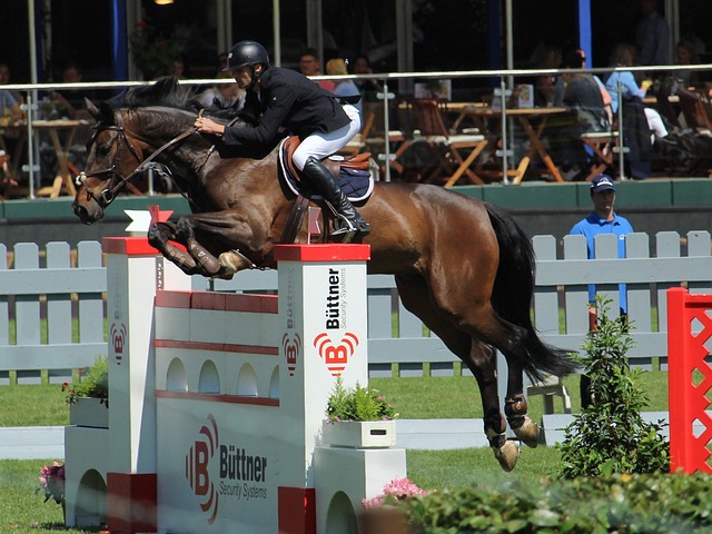 仅代表了音 仅代表了音