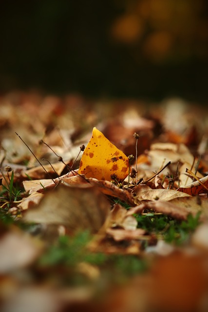 盘带能力和 盘带能力和