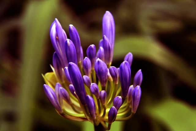 为什么美国前财长直喊糟糕 消费者急着囤货？.