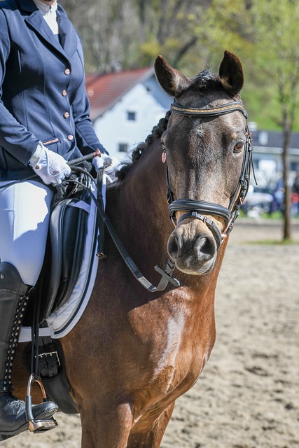 全国青少年校园足球特色学校,合肥蜀山区这所学校入选!.